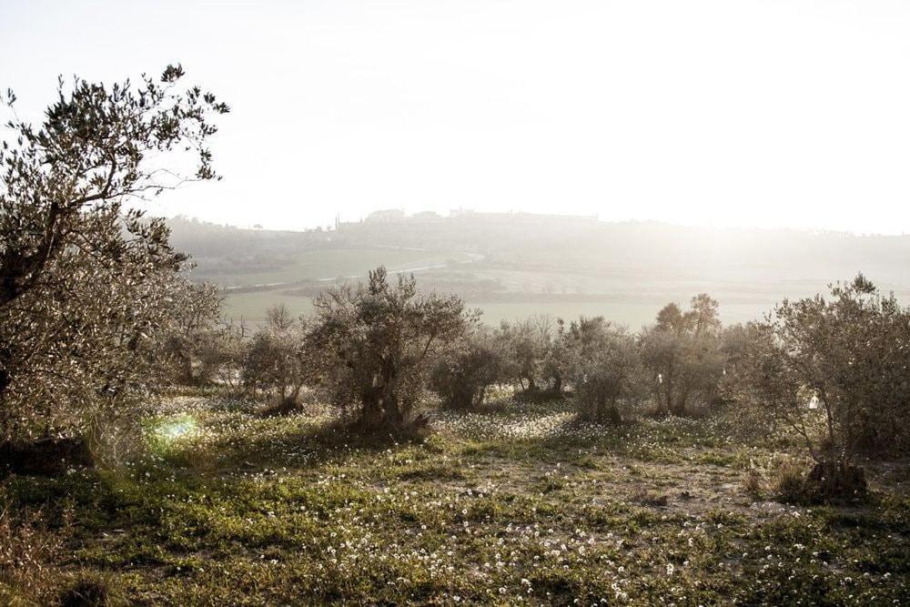 Masia Cal Millas - Turisme Rural Castellfullit de Riubregos Exterior foto